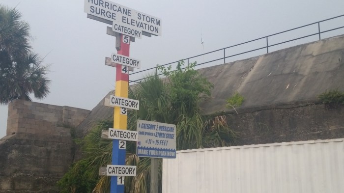 20160605_173449 (Large)