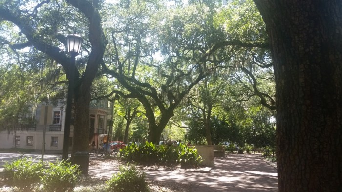 20160607_154846 (Large)