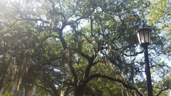 20160607_155542 (Large)