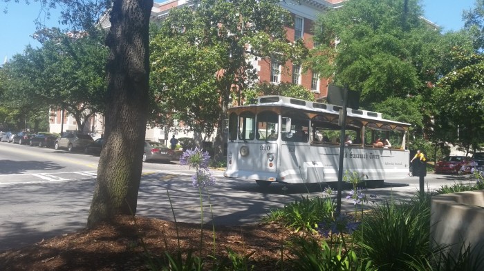 20160607_155616 (Large)