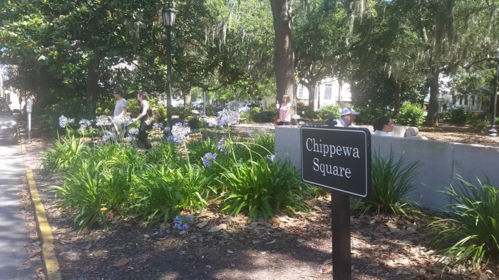 20160607_155641 (Large)