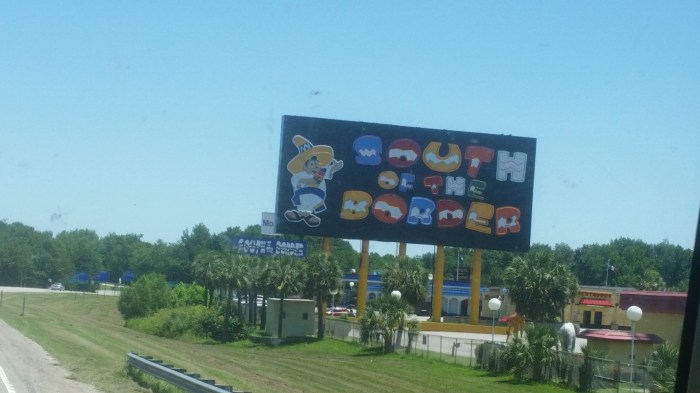 20160608_124255 (Large)