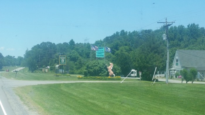 20160609_132339 (Large)