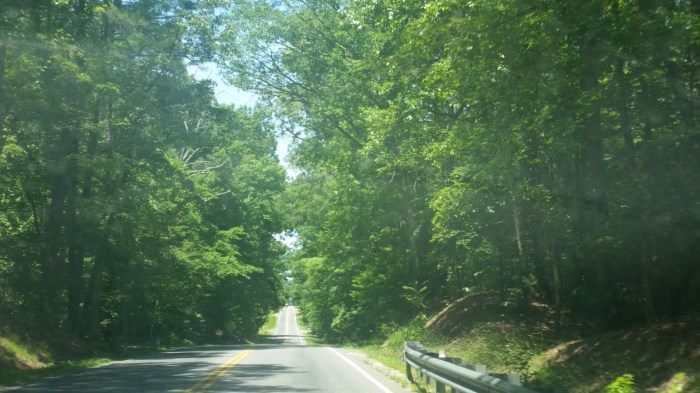 20160610_132153 (Large)