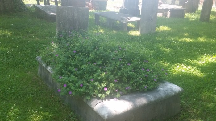 20160610_140526 (Large)