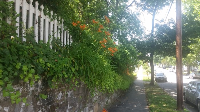 20160610_143505 (Large)