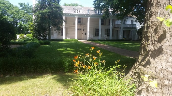 20160610_145950 (Large)