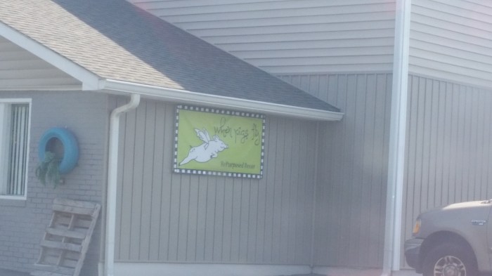 20160610_153023 (Large)