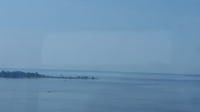 20160611_094855 (Large)