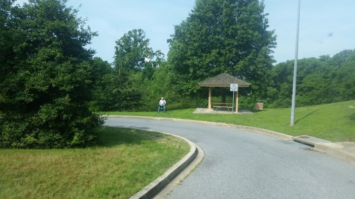 20160611_095419 (Large)