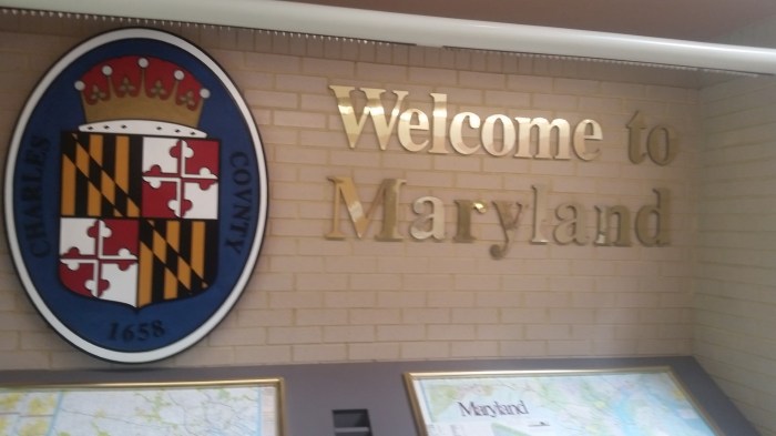 20160611_095601 (Large)