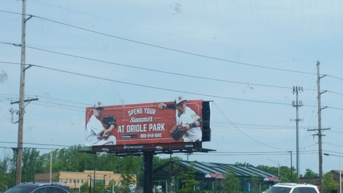 20160611_104513 (Large)