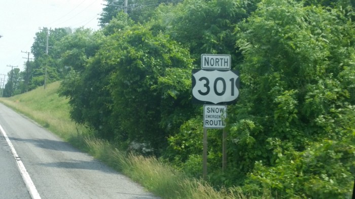 20160611_110959 (Large)