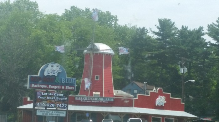 20160611_122807 (Large)