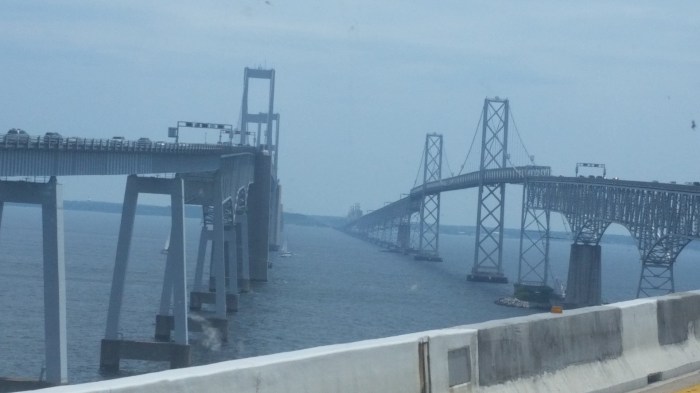 20160611_123536 (Large)