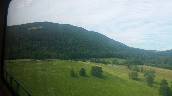 20160613_101821 (Large) (2)