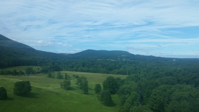 20160613_101824 (Large) (2)