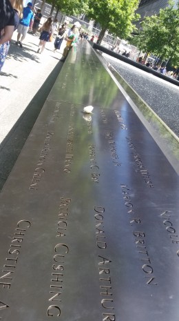 20160613_141248 (Large)