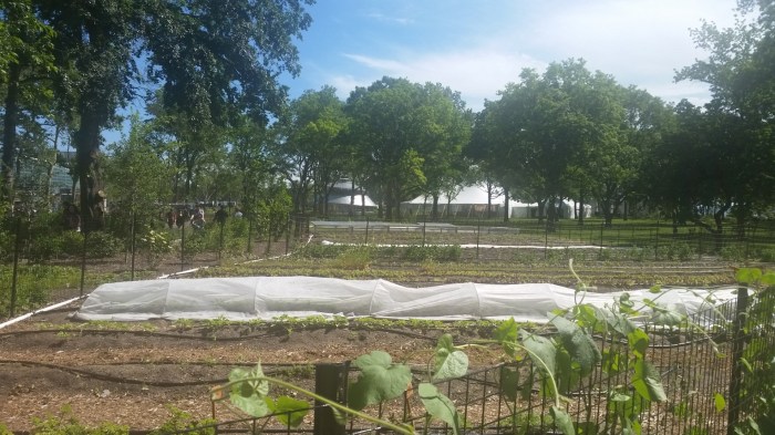 20160613_152127 (Large)