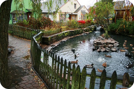 3010155509_e5132ccbef-470x313