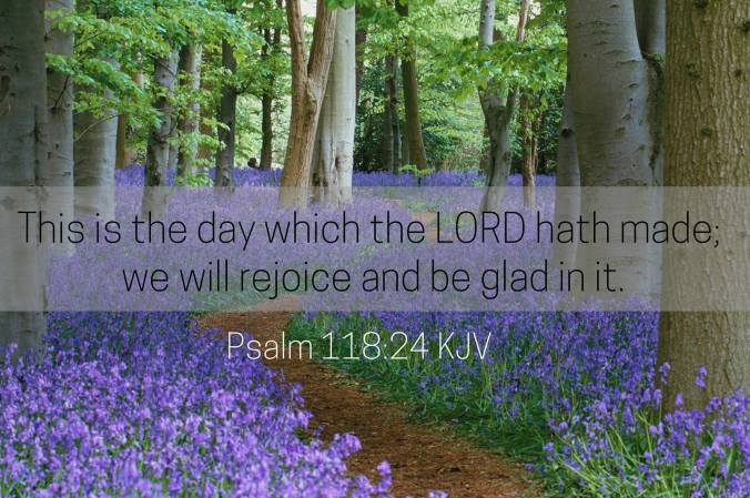 12779080_1002154459831348_5697043132690231146_o