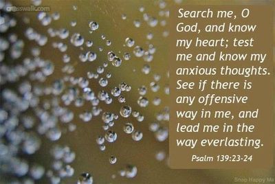 5a8e55ca146fb3ce2b219830e8ff3d72