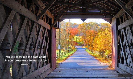 a545b81e5a8076eca8a2428ffe15cab9