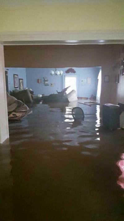 13873219_10210465223694057_6292799130793666797_n