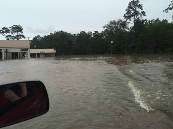 13895160_10210601955304567_6006929238771011702_n