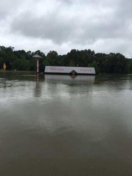 13906884_1231410920226416_2343379996430704623_n