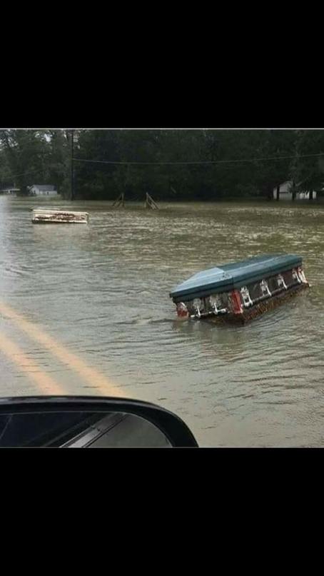 13912532_1198138166883156_5404612074655982523_n