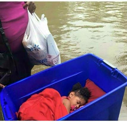 13934570_10210465225214095_9146737371263902415_n