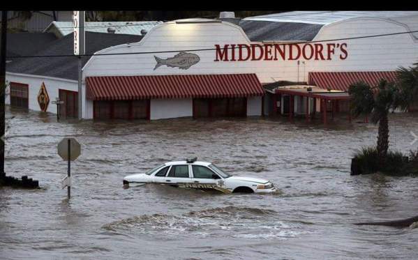 13934805_1351018861594973_2098056970817358076_n