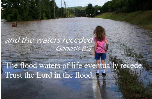 14022132_10210075455073266_350059090019258602_n