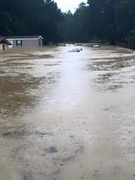 14053966_10210465219253946_1335894244642133391_n