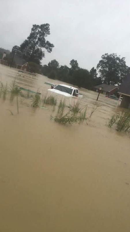 14054096_1231410886893086_935483248617049800_n