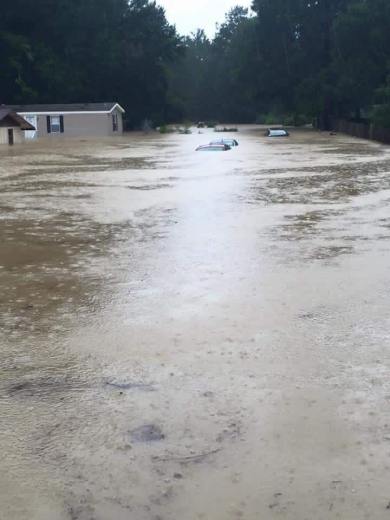 14054217_1231410966893078_4138523027129778226_n