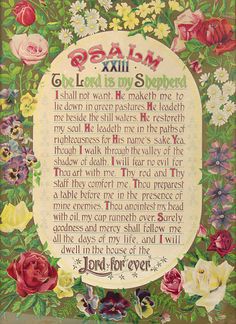 e0d53569ea784c60f02c670e29593bab