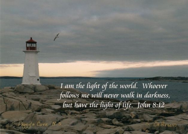 11914223_993565754017994_2833313368221358429_n