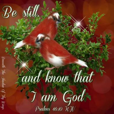 13626583_1355642451174107_8465786165969694878_n