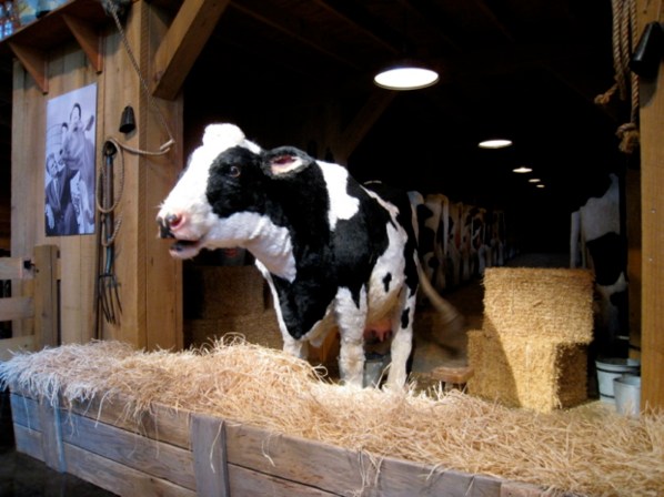 bessie-at-billy-graham-library1