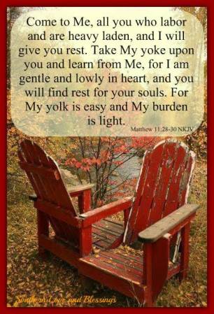 14516551_535401336662867_488851412471703600_n