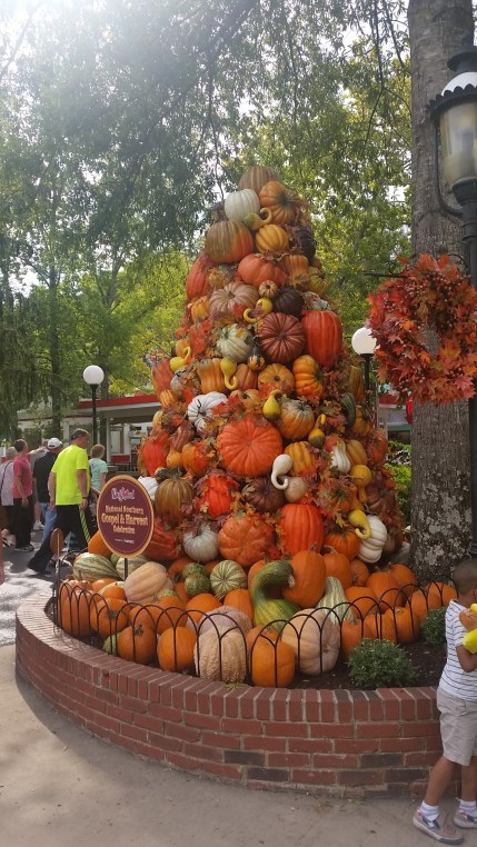 20161002_152829-large