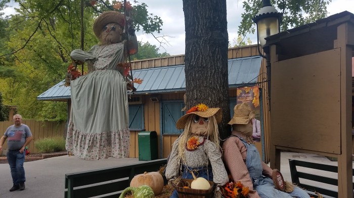 20161002_154002-large