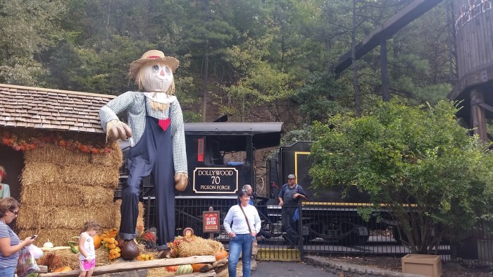 20161002_154030-large