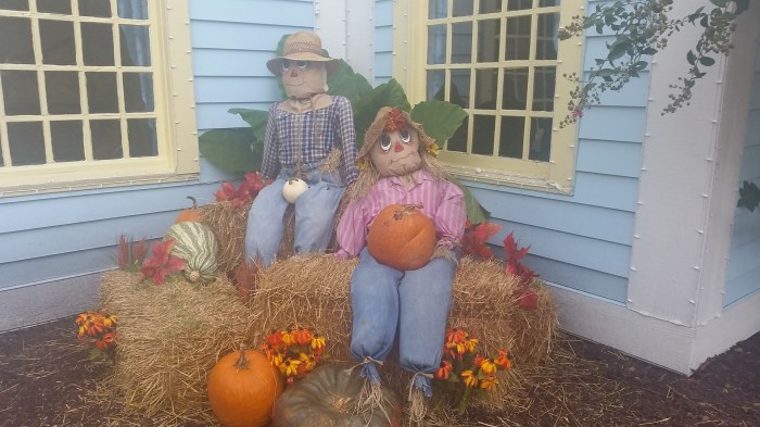 20161002_162813-large