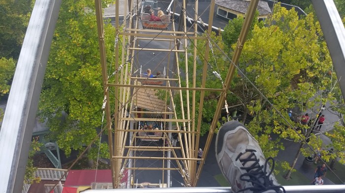 20161002_165641-large