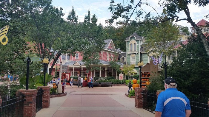 20161002_172956-large