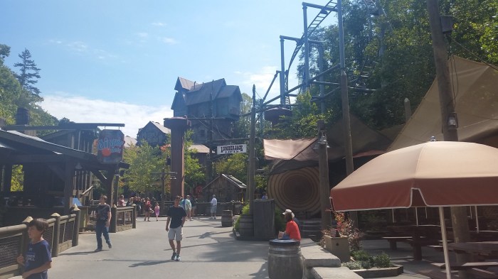 20161003_125800-large