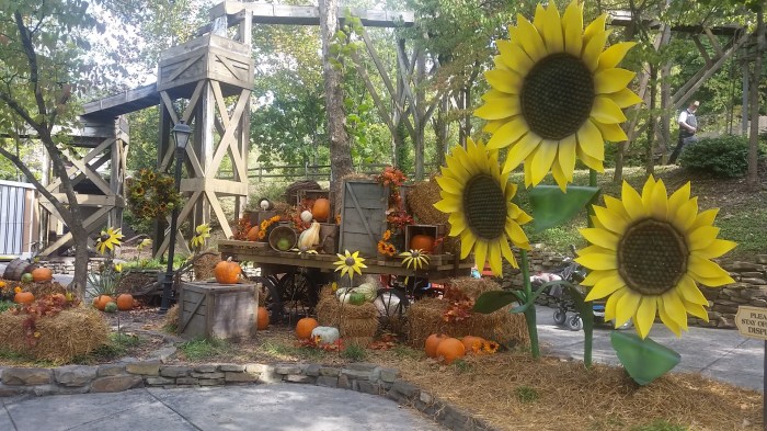 20161003_151828-large